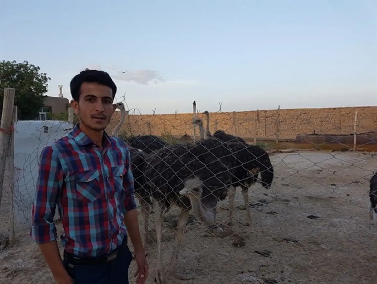 اقتصاد مقاومتی به سبک خانوادگی