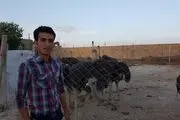اقتصاد مقاومتی به سبک خانوادگی