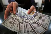 با سقوط دلار: دلارهای خانگی روانه بازار شدند!