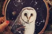 جراحی جغد در اتاق عمل/ عکس