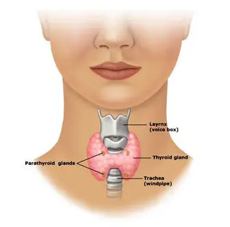 اختلالات تیروئید را به راحتی کنترل کنید!