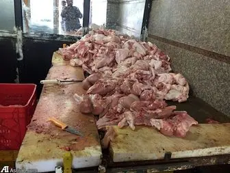 مرغ فروش متخلف در قزوین ۱۸ ماه از کسب و کار محروم شد