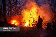 اطفای هوایی حریق در جنگل‌های الیت چالوس/ گزارش تصویری