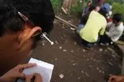 افزایش اعتیاد شیک یا داروخانه‌ای با ورود ترامادول به بازار
