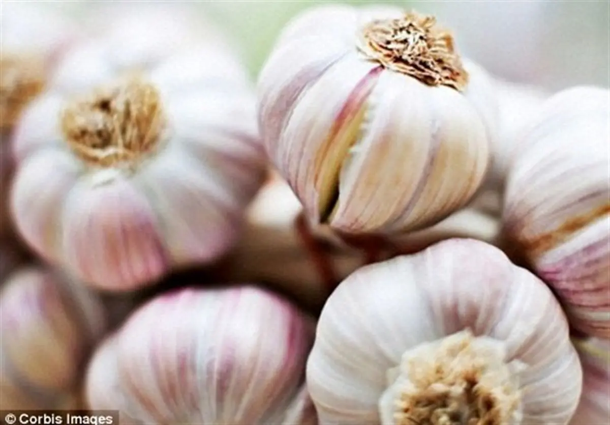 چگونه دهان خود را از بوی سیر پاک کنیم؟