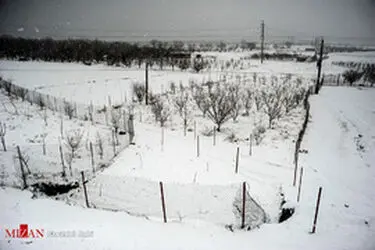 thm_1020480_412