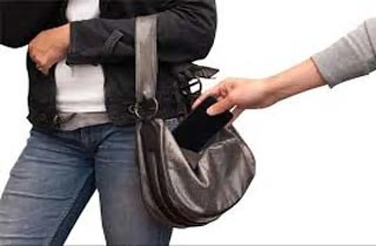دردسر عشق به آقای کیف قاپ