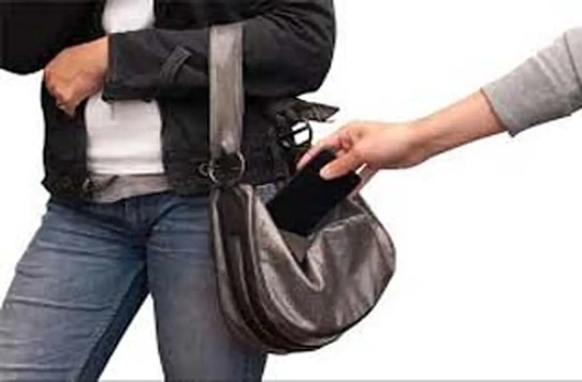 دردسر عشق به آقای کیف‌ قاپ 