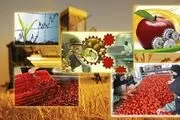 نقش روستا‌ها در افزایش رونق تولید کشور