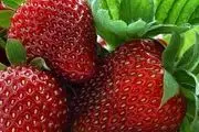نرخ مصوب هر کیلو میوه دستچین در اولین روز خرداد
