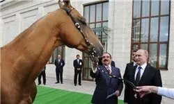 پوتین اسب هدیه داد و شمشیر هدیه گرفت+عکس