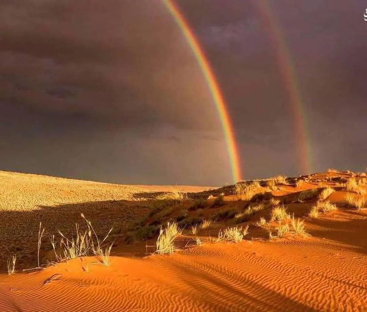 لحظه ایجاد رنگین‌کمانِ دوقلو در آسمان تهران+عکس