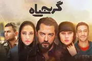 مزاحمت شاخ‌های مجازی برای بهرام رادان