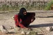 تولید مرغوب‌ترین بذر سبزیجات با قدی خمیده اما استوار+ تصاویر