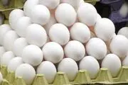 گزارشی از شیوع آنفولانزای حاد پرندگان نداشته‌ایم
