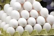 گزارشی از شیوع آنفولانزای حاد پرندگان نداشته‌ایم
