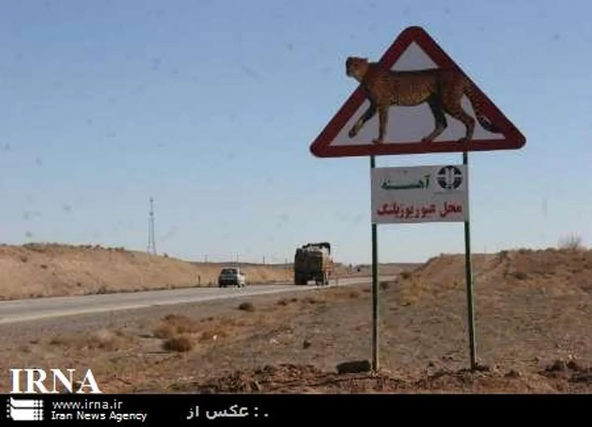  شناسایی 150 نقطه حادثه خیز برای وحوش در خراسان رضوی