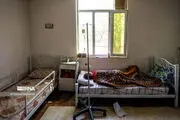 ۲ مسئول ارشد بهزیستی بوشهر برکنار شدند