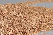 برنجی که شما را لاغر می کند