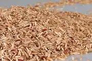 برنجی که شما را لاغر می کند