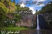 درختی که شاخه اش انسان را به بهشت می کشد