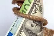 حذف دلار از سیستم گزارشگری گمرک /جدول 