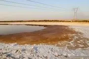 برنامه احیای تالاب شادگان به کجا رسید؟