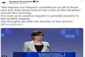 ابراز همدردی کمیسیون اروپا با خانواده قربانیان حادثه سقوط هواپیما