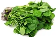 خواص سبزی شاهی در کاهش فشارخون و کنترل دیابت 