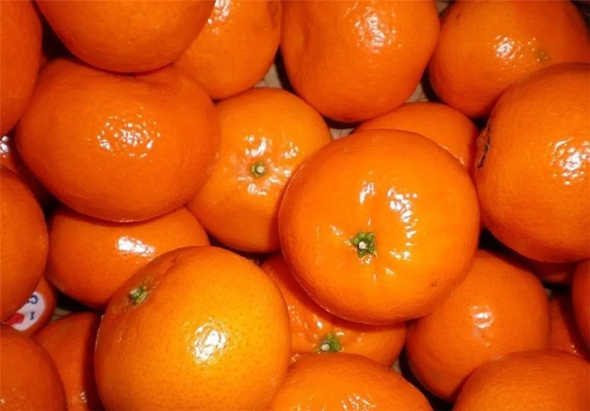 این میوه مسکن قویِ اعصاب است