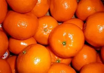 کمبود عرضه، قیمت نارنگی را بالا برد
