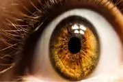 تشخیص اختلال تصویرسازی ذهن از روی مردمک چشم
