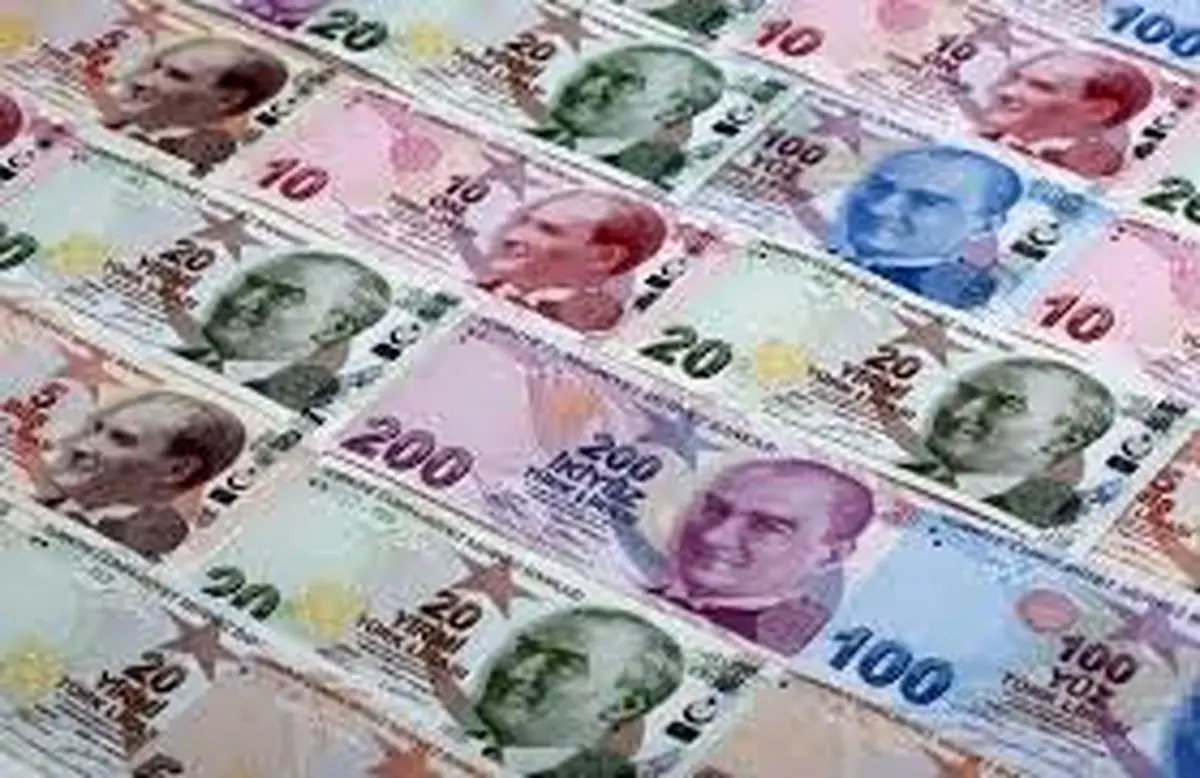 واکنش ترکیهایها به سقوط ارزش لیر در برابر دلار