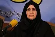۴۲ شهربازی پلمپ شدند / تغییری در اجرای استاندارد 85 گانه خودرو صورت نمی‌گیرد