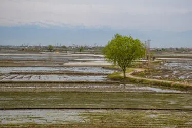 7dvWoGRC7DfF