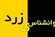 روانشناسی زرد چیست و با ما چه می‌کند؟