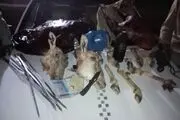 دستگیری سه شکارچی غیر مجاز با لاشه 2 رأس قوچ وحشی