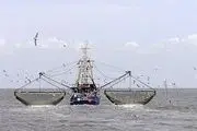 تکذیب ماهیگیری کشتی های چینی در آبهای ایران
