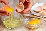 کدام مفیدتر است: زرده تخم مرغ یا سفیده آن؟!