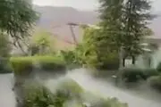 باغ‌های معلق در زعفرانیه/فیلم