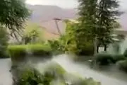 باغ‌های معلق در زعفرانیه/فیلم