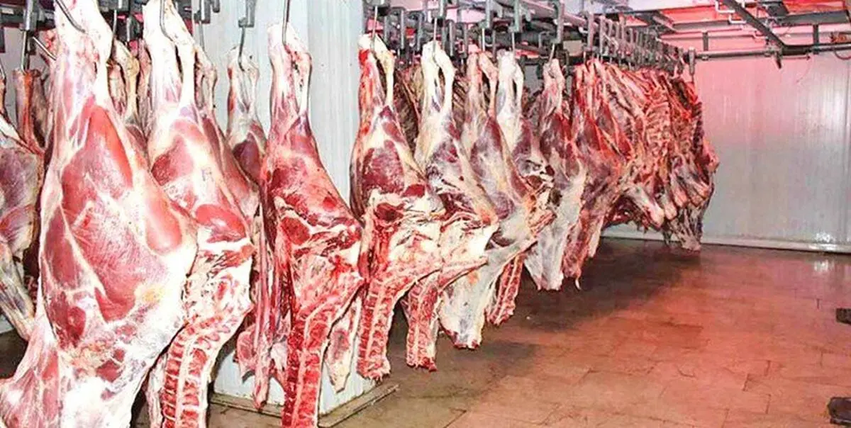 عرضه گوشت ۲۰۰ تا ۳۷۰ هزار تومانی 