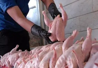 انتقاد نماینده مجلس از افزایش قیمت مرغ 