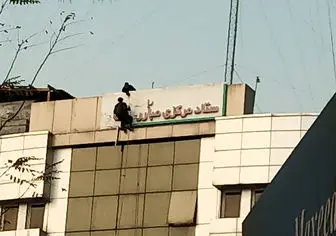 معصومی: پزشکیان شخصا قاچاق سوخت را پیگیری می کند