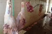 ذبح غیرشرعی حیوانات با الکتریسیته و گاز Co