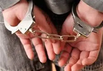  سارقان حرفه‌ای توسط ماموران انتظامی در سیب و سوران دستگیر شدند 