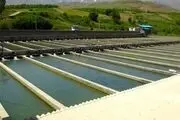 تاکید وزیر جهاد کشاورزی بر توسعه طرح پرورش ماهی در دریا