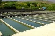 تاکید وزیر جهاد کشاورزی بر توسعه طرح پرورش ماهی در دریا