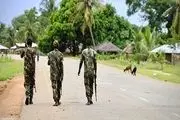 ۱۳ غیرنظامی در حمله‌ای در موزامبیک کشته شدند