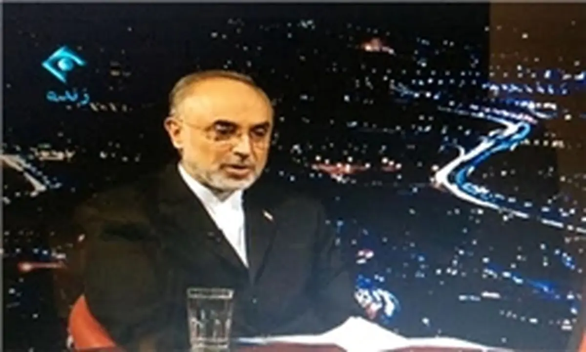 صالحی: آمریکا می خواهد برجام را با هزینه ایران از بین ببرد